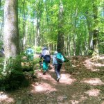 wandern_23 5